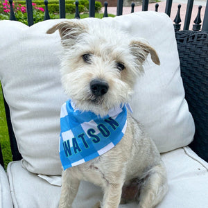 Stylish Dog Bandanas for Every Pup