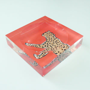 Catchall Tray - Leopard New!