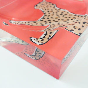 Catchall Tray - Leopard New!