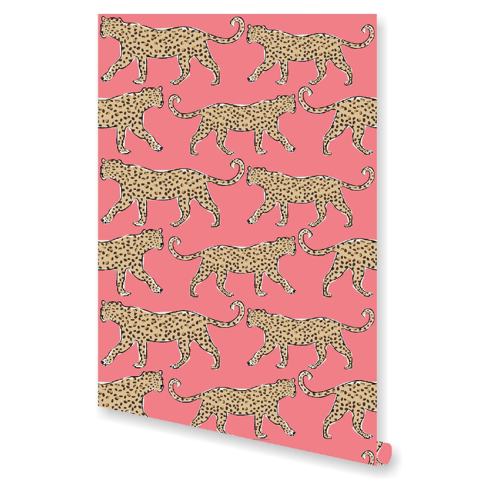 Coral