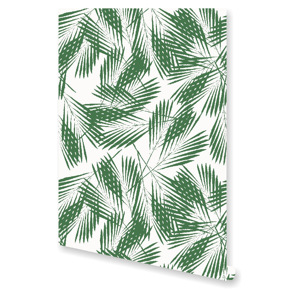 Palm Wallpaper